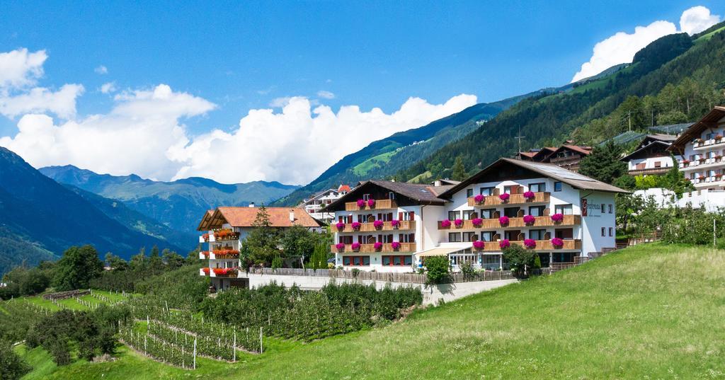 Pension Grafenau Scena Exterior foto